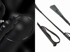 Sexspielzeug-Alarm in der Schweiz