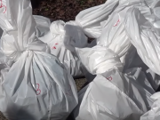 Grausamer Tiermörder in Italien: 28 Hunde und Kater brutal in Säcken entsorgt