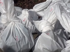 Grausamer Tiermörder in Italien: 28 Hunde und Kater brutal in Säcken entsorgt