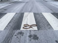 Schande: Hund überfahren und geflüchtet