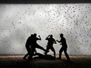 Schock und Entsetzen beim Rabadan in Bellinzona: Brutaler Übergriff auf 18-jährigen