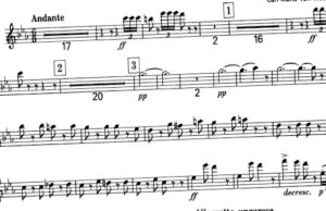 Osi, ultimo atto all’auditorio “Stelio Molo”. Ci si vedrà fra qualche anno