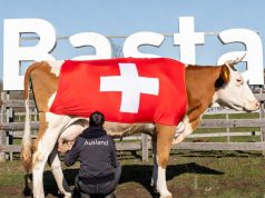 Hammer: 300 Milionen extra für Ukrainer-Sozialhilfe, Kantone bluten