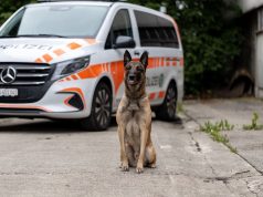 Danke Ueli! Diensthund jagt Einbrecher in die Enge: Franzosen geschnappt!