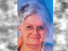 Bellinzona, 64enne svanisce nel nulla: ricerche fra Ticino e Piemonte