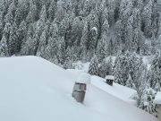 Nevicate sino a quote basse: strade bloccate, guasti, disagi vari