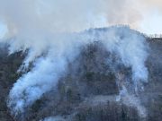 Rogo di Brusio, fiamme domate. Pompieri ed Esercito ancora sul campo