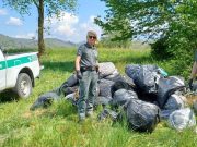 Colverde (Como): cercano rifiuti abbandonati, trovano marijuana “parcheggiata”