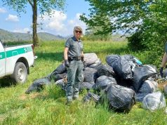 Colverde (Como): cercano rifiuti abbandonati, trovano marijuana “parcheggiata”
