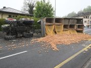 Traktor kippt auf Hauptstrasse: Kartoffeln überall!