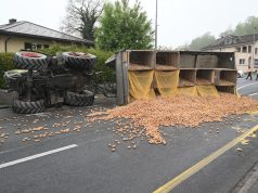 Traktor kippt auf Hauptstrasse: Kartoffeln überall!