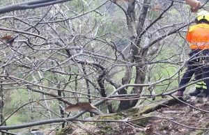 Valle Cannobina (Vco): turisti dispersi, a buon fine l’operazione di recupero