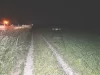 Jammernder Junglenker am Handy: Durch Wildschutzzaun in Wiese gedonnert