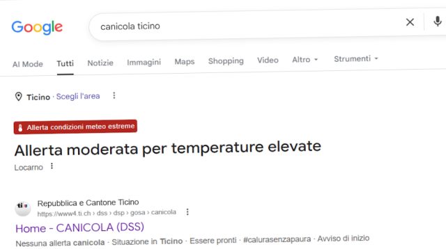 canicola-ricerca-google-errore-250526-00001