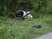 Rumäne verursacht Unfall: Hund “Lenny” läuft davon und wird gefunden