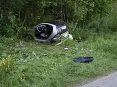 Rumäne verursacht Unfall: Hund “Lenny” läuft davon und wird gefunden