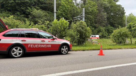 wppi-image-polizei-news260609_birmensdorf_bahnunftod.1781010548804-528x297