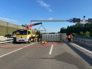 Über 30 Schafe auf der Autobahn – A1 stundenlang gesperrt