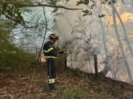 Leggiuno (Varese): rogo sopra la frazione Arolo, in azione i Vigili del fuoco