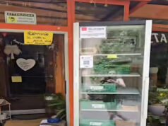 Furti in serie all’“Orchidea” di Locarno, chiuso (per ora) il “self-service”