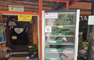 Furti in serie all’“Orchidea” di Locarno, chiuso (per ora) il “self-service”