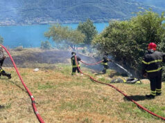 Pianello del Lario (Como), devastata dalle fiamme una piantagione di lavanda