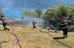 Pianello del Lario (Como), devastata dalle fiamme una piantagione di lavanda