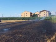 Rovello Porro (Como): fiamme in un’area agricola, problema risolto