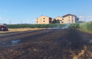 Rovello Porro (Como): fiamme in un’area agricola, problema risolto