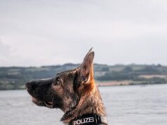Der Polizei-Held Varro hat seine Dienstmarke kurz mal gegen eine Badehose getauscht
