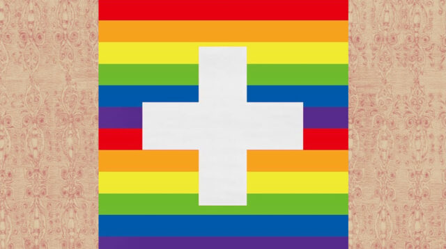 bandiera-svizzera-socialisti-bellinzona-2026-00001