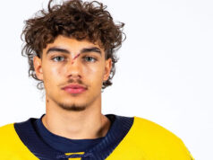 Hockey Nl / All’Ambrì un figlio d’arte. Fenomeno non è, ma potrebbe servire